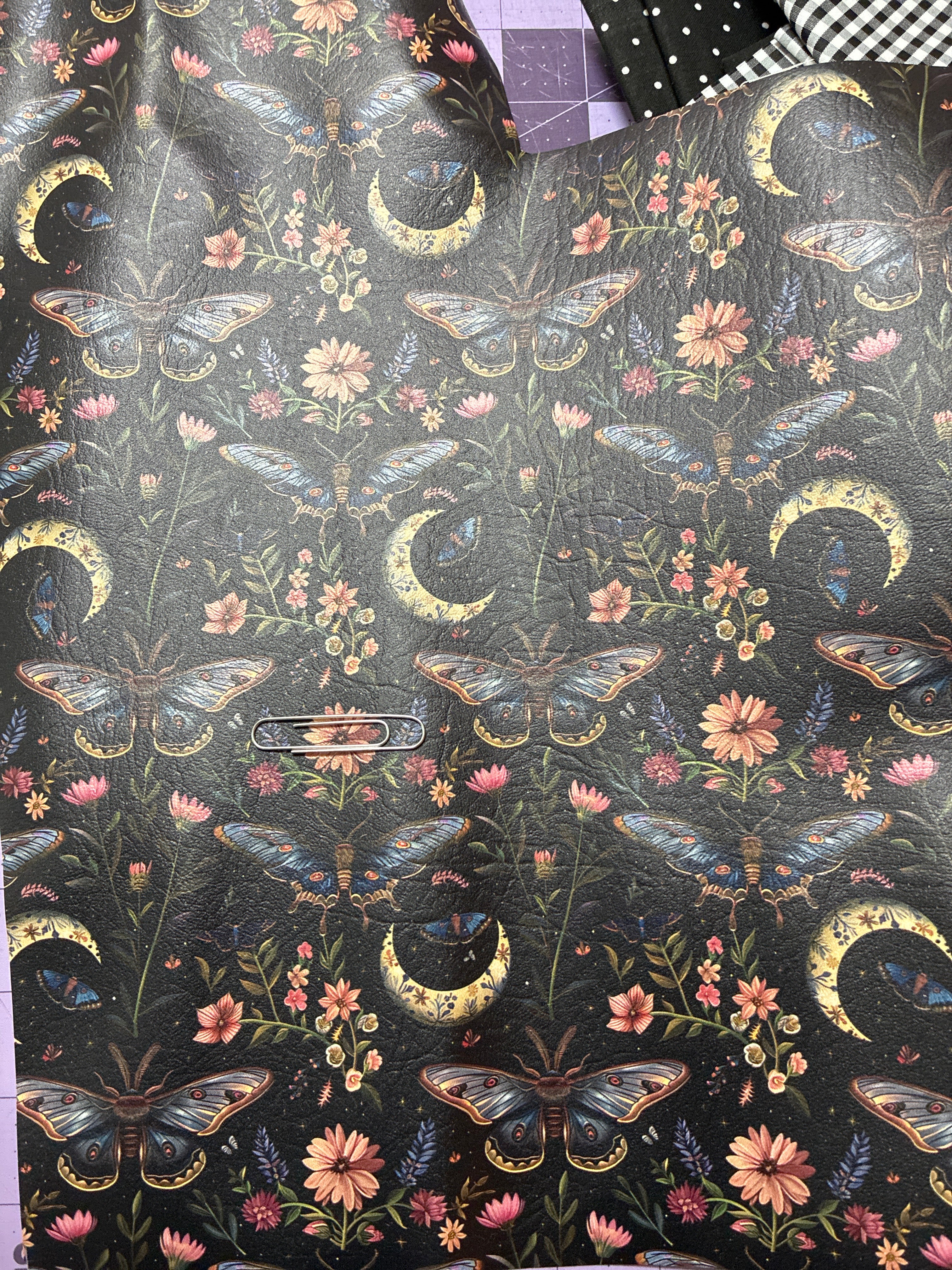 Kiana moon butterfly Martha